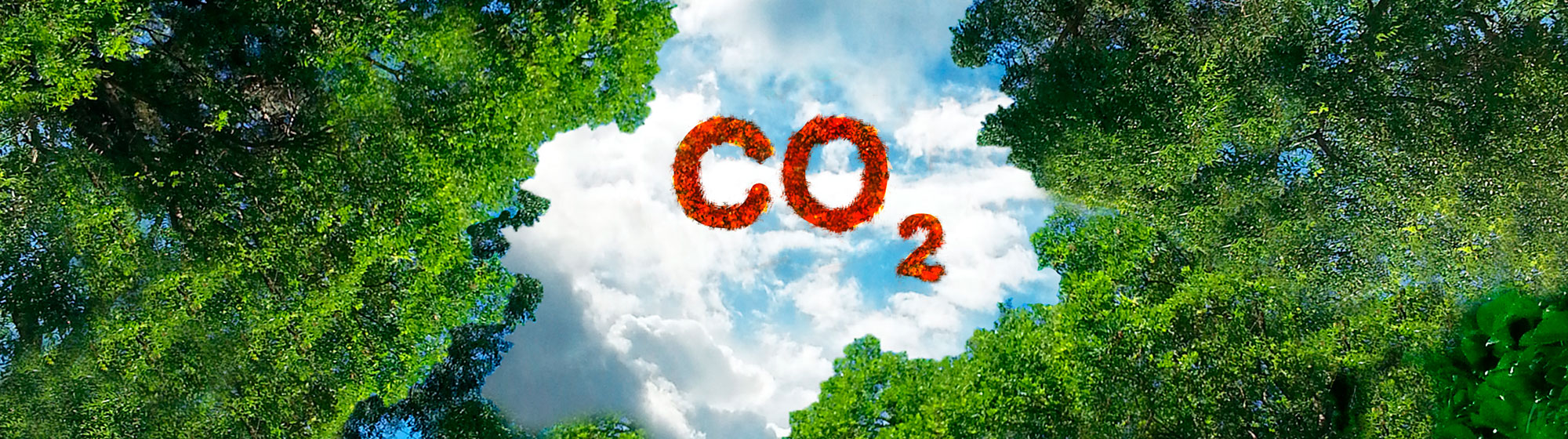 CO2-Minderung, Energetik und Nachhaltigkeit